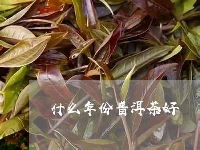 什么年份普洱茶好/2023031761503