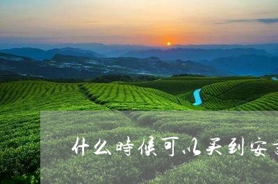 什么时候可以买到安吉白茶/2023040128390