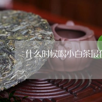 什么时候喝小白茶最佳效果/2023040158462