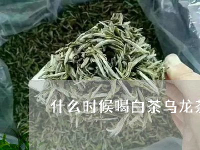 什么时候喝白茶乌龙茶红茶/2023040102504