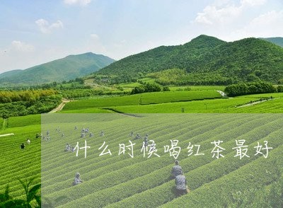 什么时候喝红茶最好/2023041543725