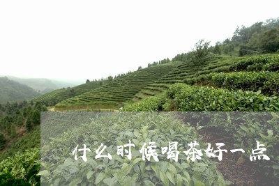 什么时候喝茶好一点/2023041674625