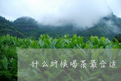 什么时候喝茶最合适/2023032082634