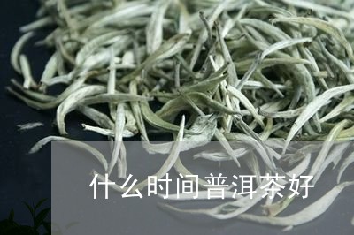 什么时间普洱茶好/2023041280584