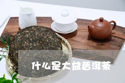 什么是大益普洱茶/2023031862936