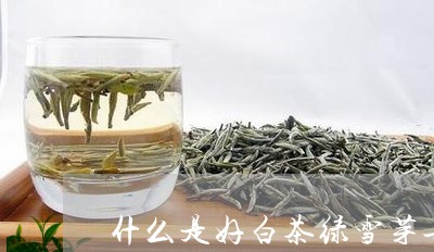 什么是好白茶绿雪芽告诉您/2023040111815