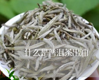 什么是普洱茶出油/2023041098583