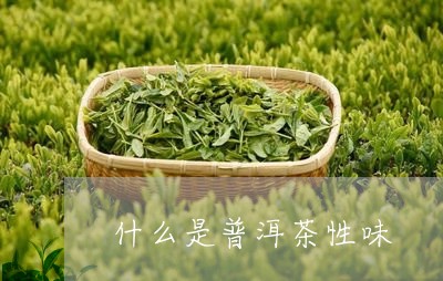 什么是普洱茶性味/2023040151472