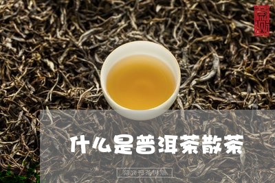 什么是普洱茶散茶/2023031545068