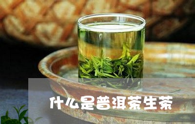 什么是普洱茶生茶/2023041200602