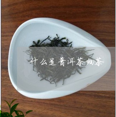 什么是普洱茶细茶/2023041125047