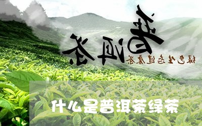 什么是普洱茶绿茶/2023031870734