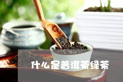 什么是普洱茶绿茶/2023041343946