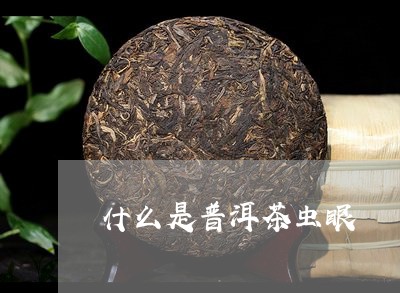 什么是普洱茶虫眼/2023031720513