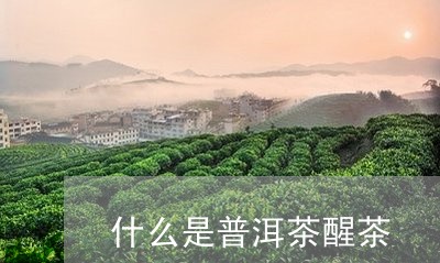 什么是普洱茶醒茶/2023031618382