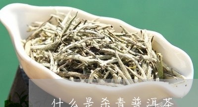 什么是杀青普洱茶/2023040984048