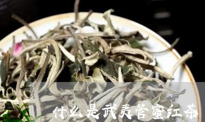 什么是武夷管蜜红茶/2023041578381