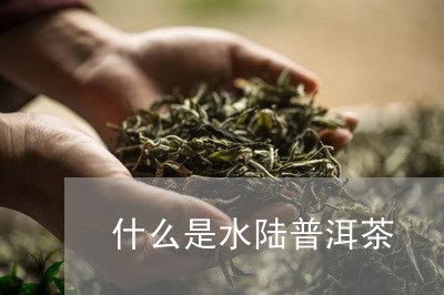 什么是水陆普洱茶/2023040173926