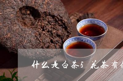 什么是白茶5花茶有何不同/2023033196151