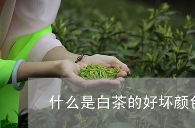 什么是白茶的好坏颜色不同/2023040192614