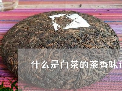 什么是白茶的茶香味道特点/2023040183736