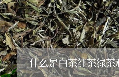 什么是白茶红茶绿茶和黑茶/2023040100482