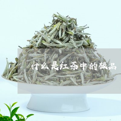 什么是红茶中的极品/2023041493835