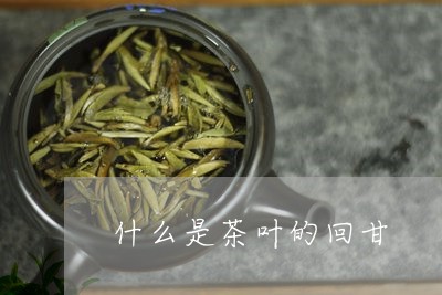 什么是茶叶的回甘/2023032671814