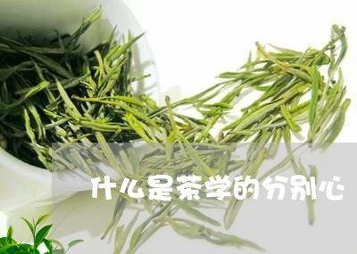 什么是茶学的分别心/2023041537161