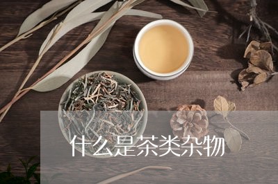 什么是茶类杂物/2023032473827