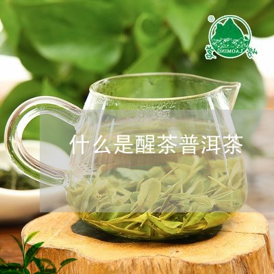 什么是醒茶普洱茶/2023041138383