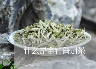 什么是金针普洱茶/2023040974828