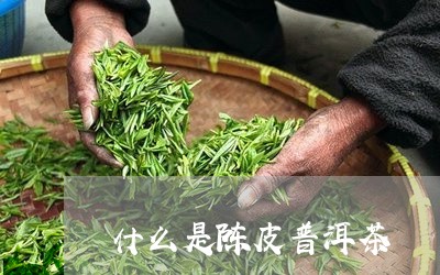 什么是陈皮普洱茶/2023041328491