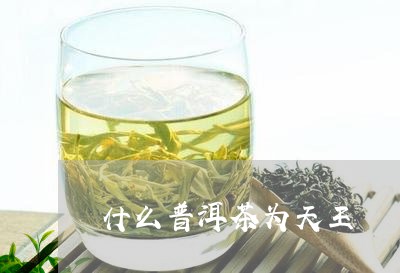 什么普洱茶为天王/2023041408572