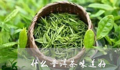 什么普洱茶味道好/2023031722159