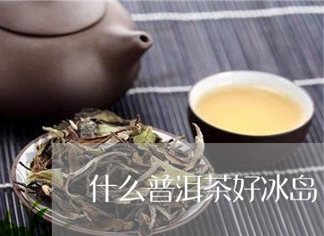 什么普洱茶好冰岛/2023041377482