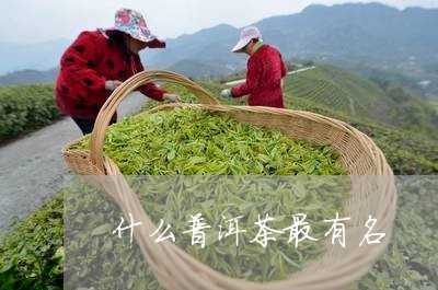 什么普洱茶最有名/2023041059492