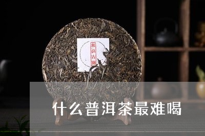 什么普洱茶最难喝/2023041475271