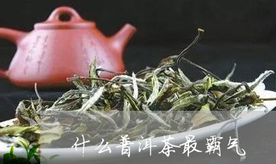 什么普洱茶最霸气/2023041051705