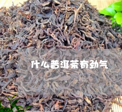 什么普洱茶有劲气/2023031804846