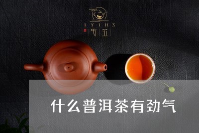 什么普洱茶有劲气/2023041363036