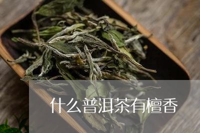 什么普洱茶有檀香/2023041374827