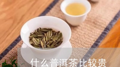 什么普洱茶比较贵/2023040912048