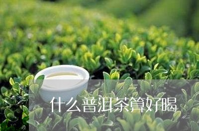 什么普洱茶算好喝/2023031815946