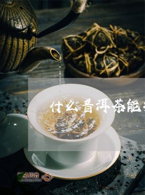 什么普洱茶能减肥/2023041219682