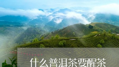 什么普洱茶要醒茶/2023041102714