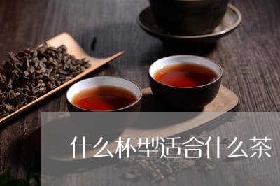 什么杯型适合什么茶/2023041685250