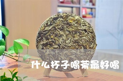 什么杯子喝茶最好喝/2023032005158