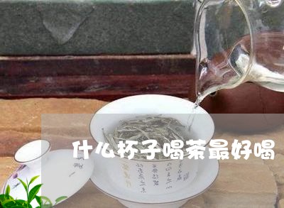 什么杯子喝茶最好喝/2023041665928