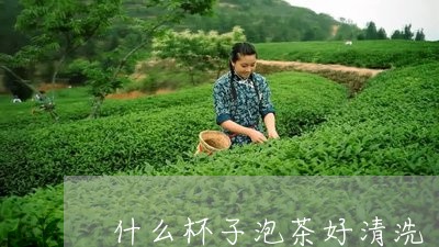 什么杯子泡茶好清洗/2023041618141